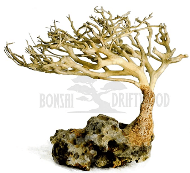 Bonsai Driftwood Aquarium Tree