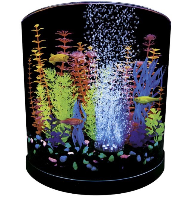 GloFish Aquarium Kit Fish Tank