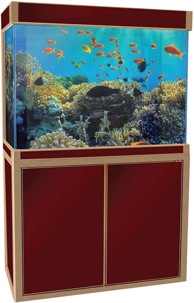 Aquadream 100-Gallon Fish Tank