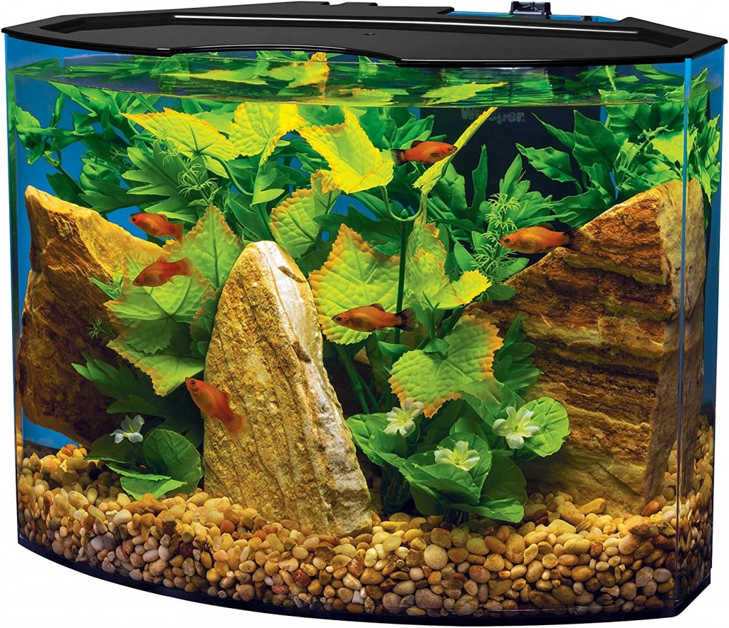 Tetra Curved-Front Tank with LEDs Crescent Aquarium Kit