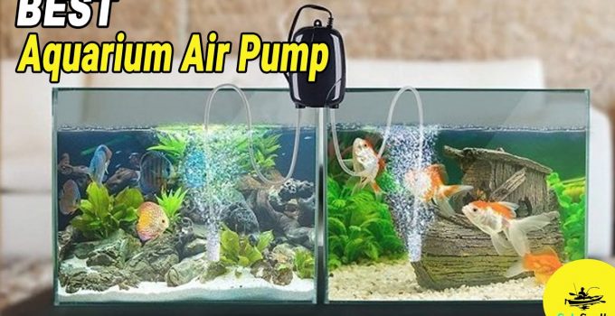 Best Aquarium Air Pumps
