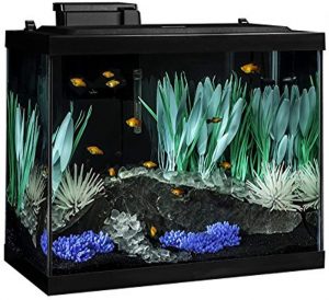 Tetra ColorFusion Aquarium 20 Gallon Fish Tank Kit