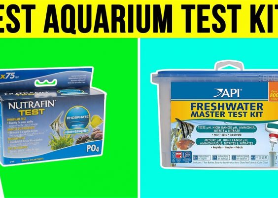 Best Aquarium Test Kits